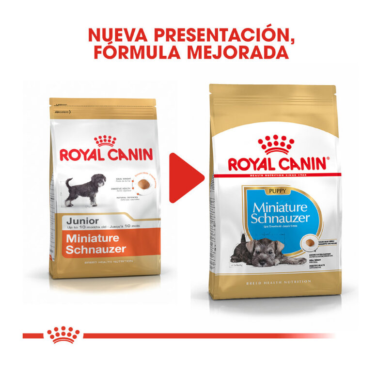 Royal Canin Puppy Miniature Schnauzer pienso para perros , , large image number null